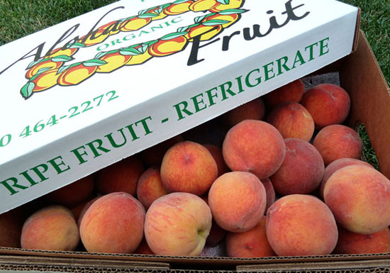 Organically grown Aloha peaches