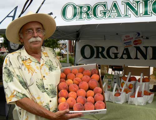 Palisade peaches